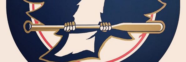 Hachette Hawks banner