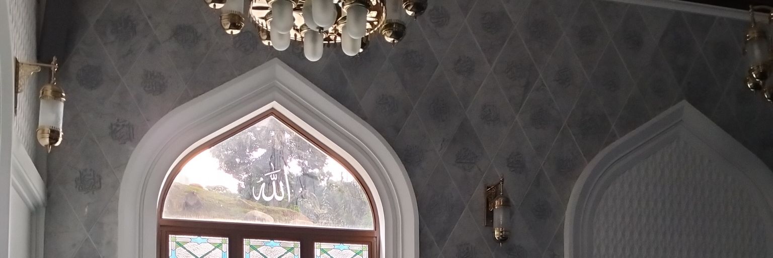 shaafiza_'s profile banner image