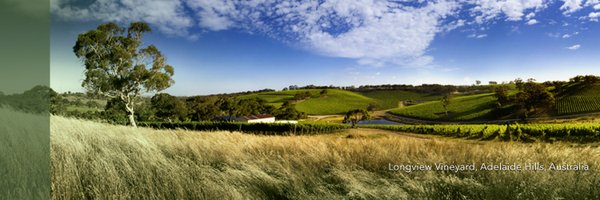 winesyndicate Profile Banner