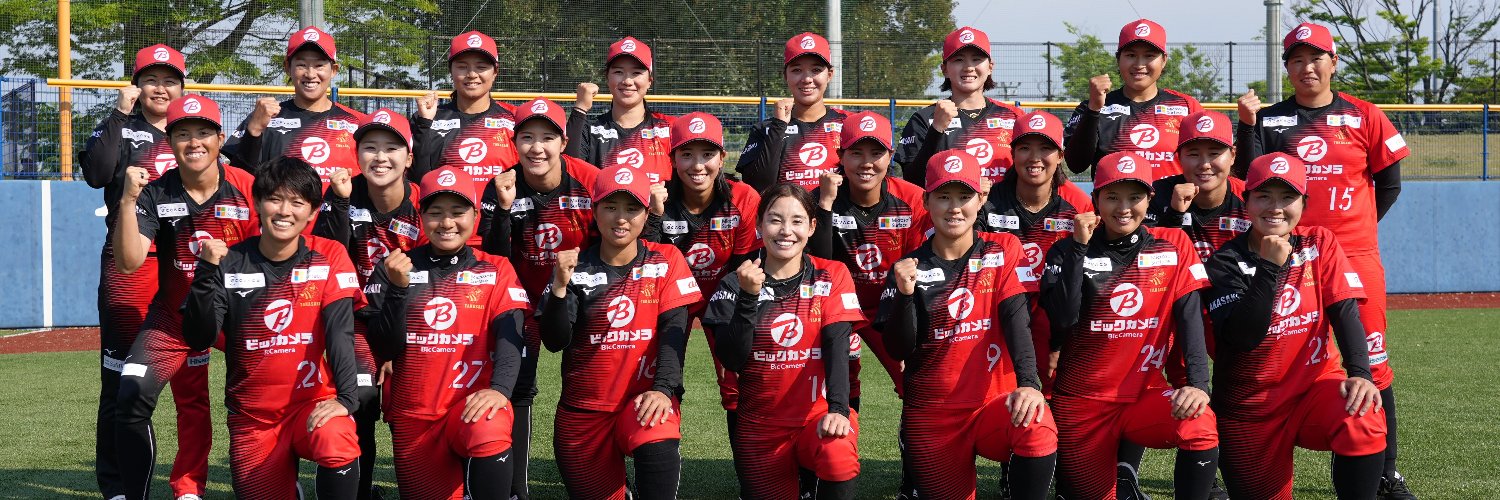 ビックカメラ女子ソフトボール高崎 banner