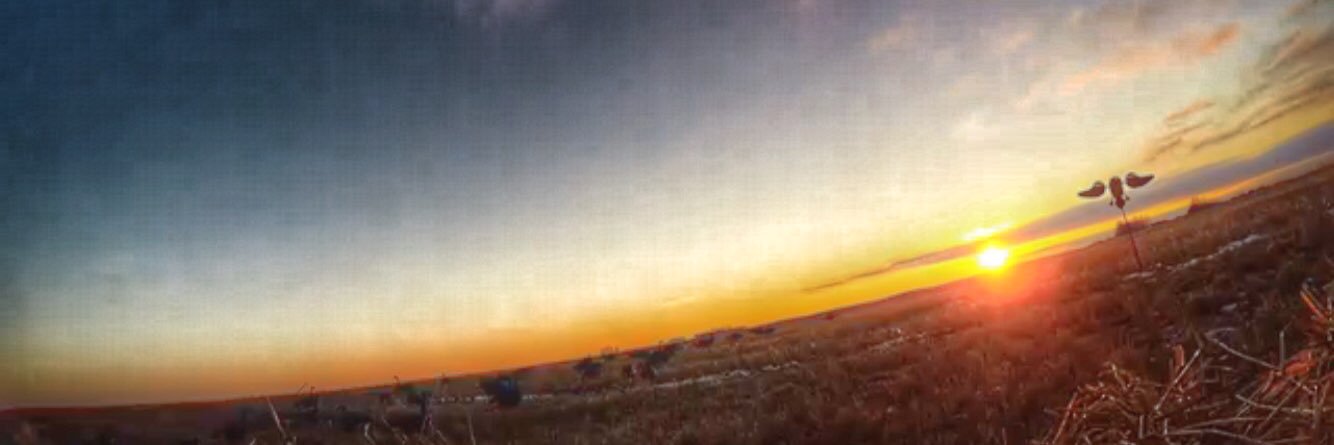 JacobRay14's profile banner image