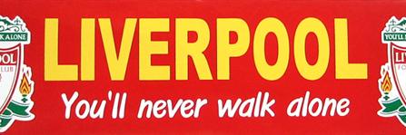 Anfield561's profile banner image