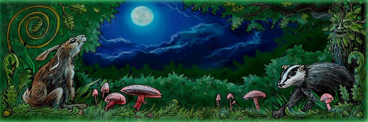 Peachdracon's profile banner image