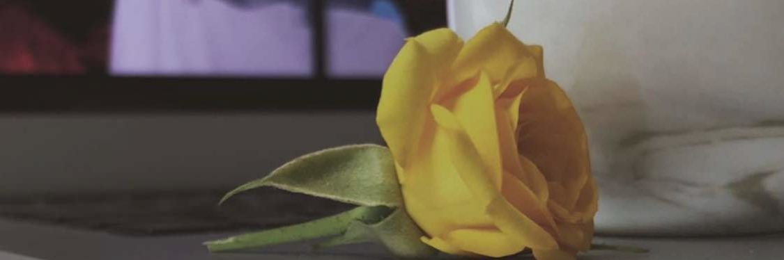nooti_1's profile banner image