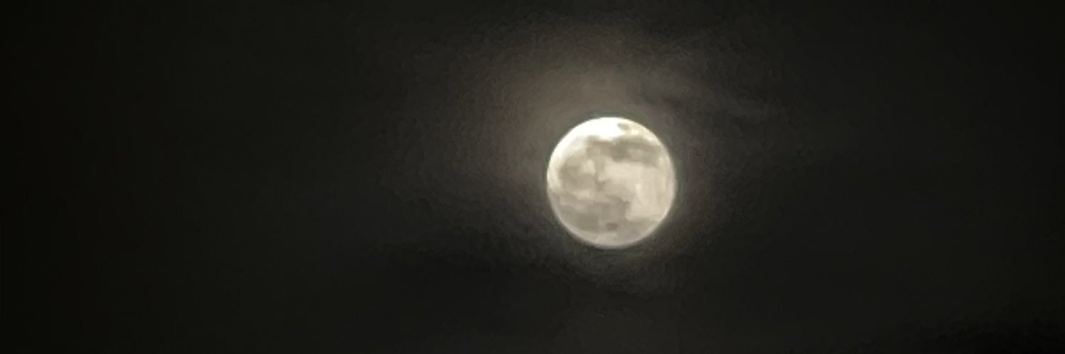 1zm_s's profile banner image