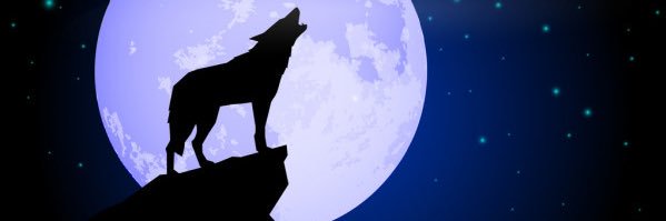 deejaydeco1's profile banner image