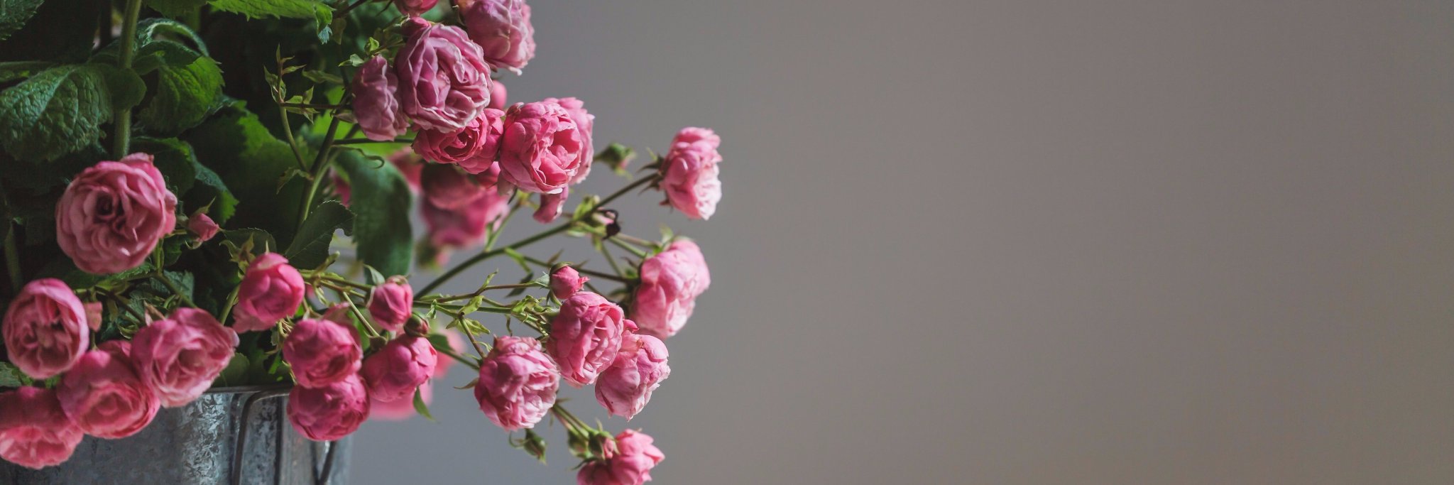 gatheredandco's profile banner image