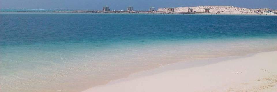 SamarMa41555105's profile banner image
