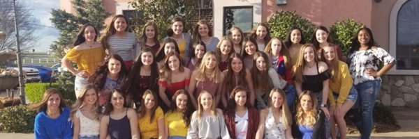 moorelionscheer Profile Banner