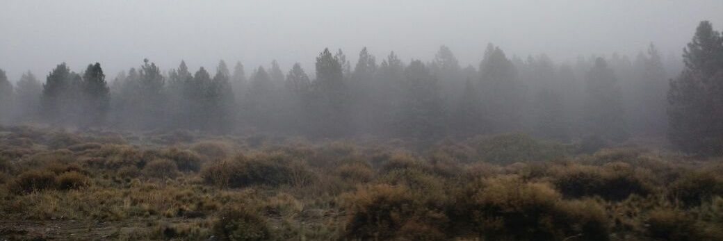 Soledad15569435's profile banner image