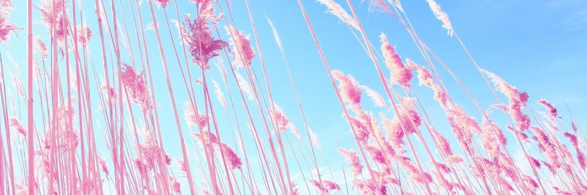 AnNAmoRi27's profile banner image