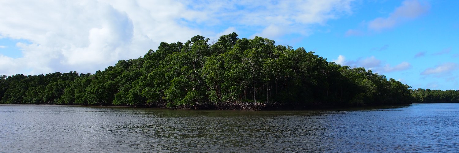 Sophia Hoffman banner