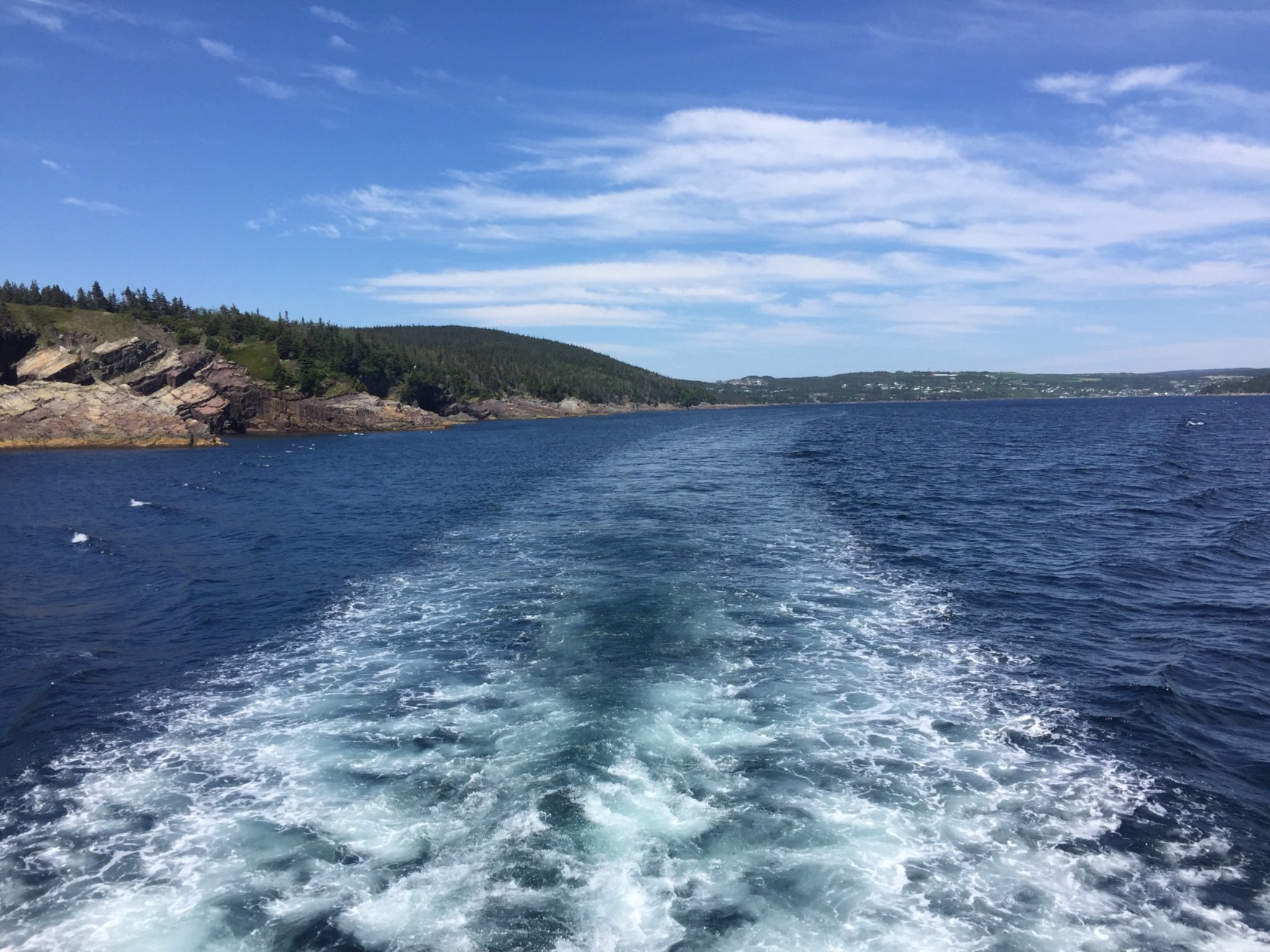 Dr Emily Oxley banner