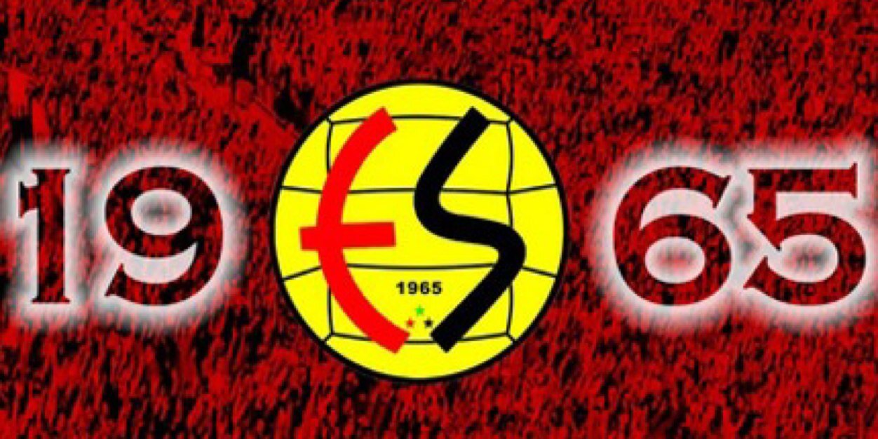 esessupporter's profile banner image