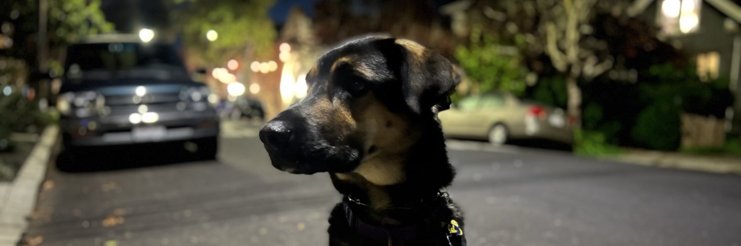 Cory Kidd 🇺🇦 banner