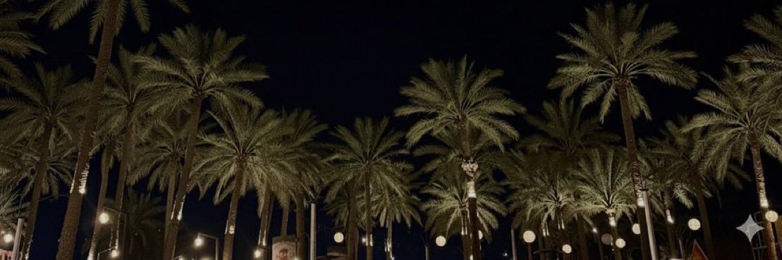 bixwd's profile banner image