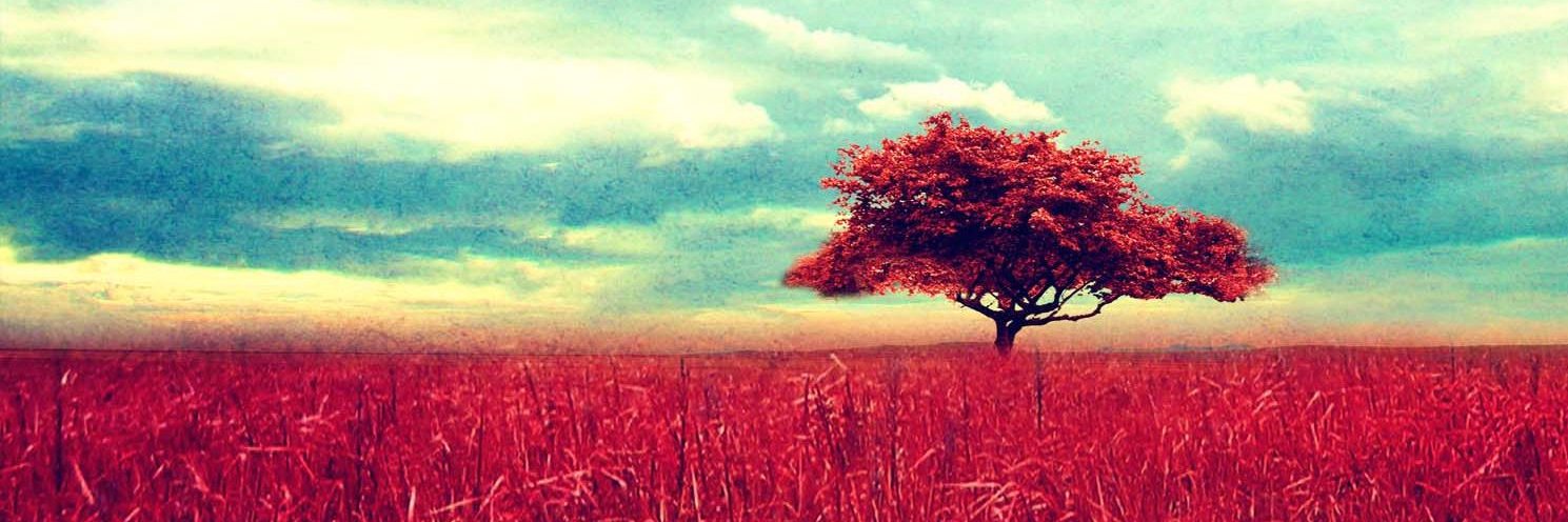fonsdesign's profile banner image
