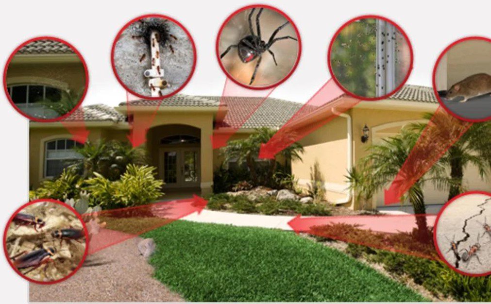 pestproinfo's profile banner image