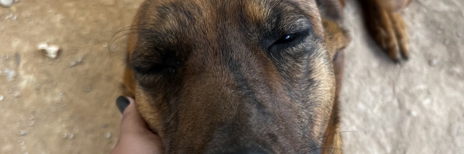 ramonyrs_'s profile banner image