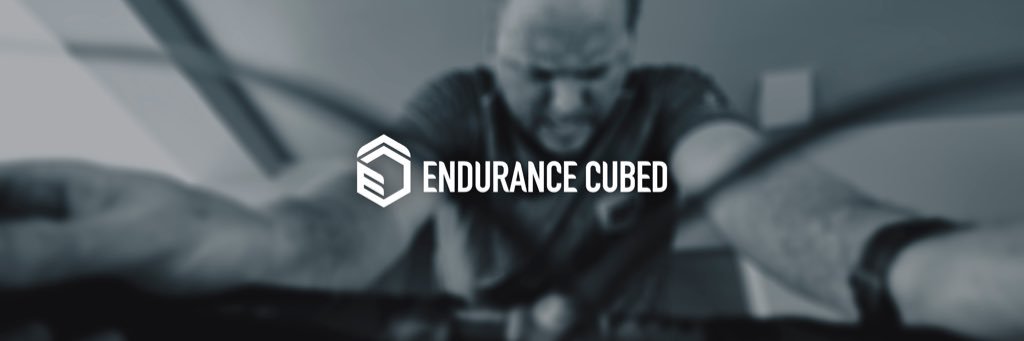 Endurance Cubed banner