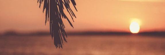bin_mhndis's profile banner image