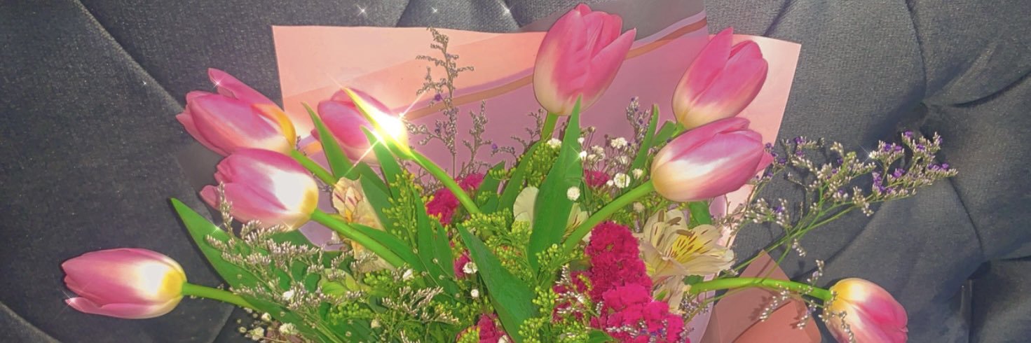 Silvanalm06's profile banner image