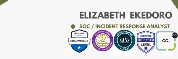 Lizettle_ Profile Banner