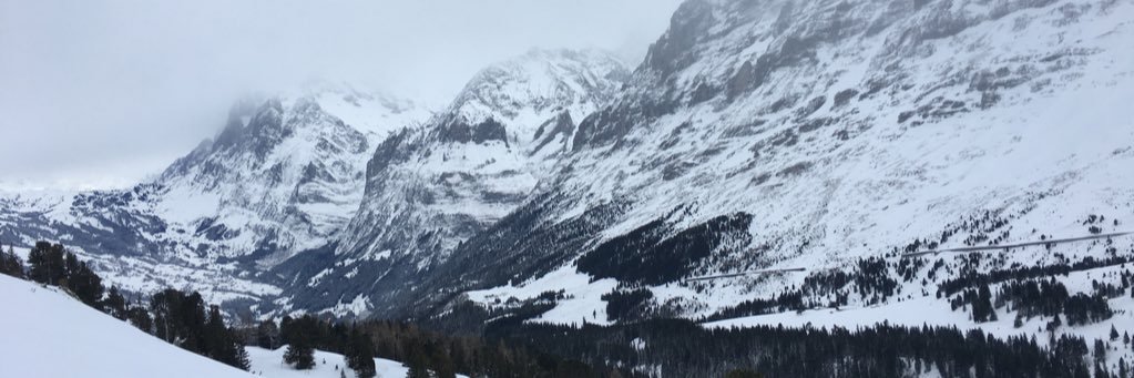 tgossel5's profile banner image