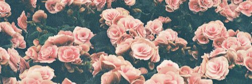 elsnorth's profile banner image