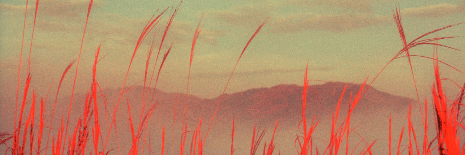 jonogram's profile banner image