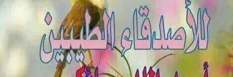 h4444451's profile banner image