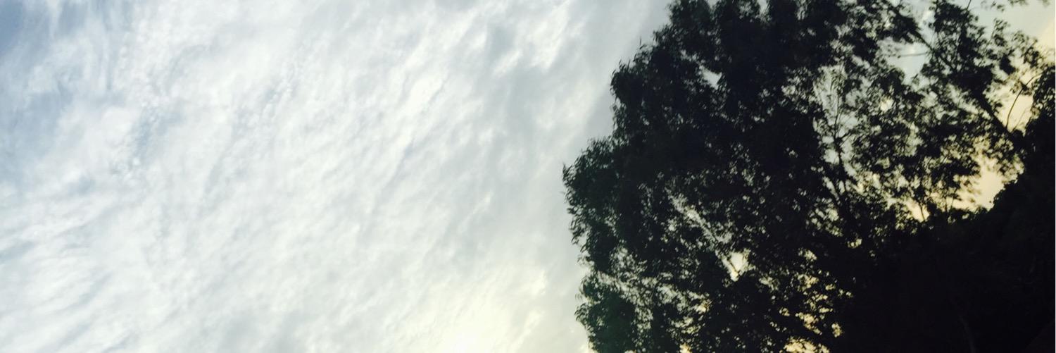 MSs_kyawee's profile banner image