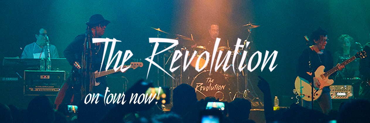The Revolution banner