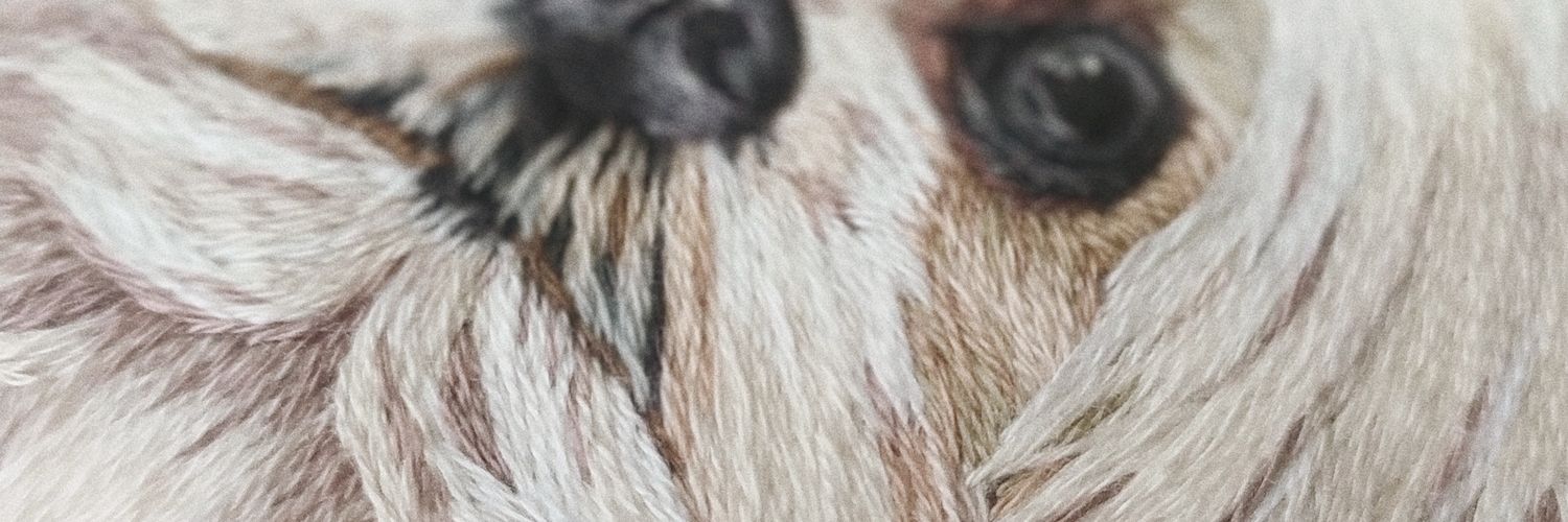 kamiruizr's profile banner image