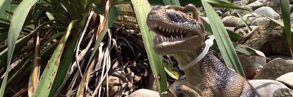 ✨ amygdala hijack ✨ banner