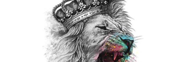 lina_ward's profile banner image