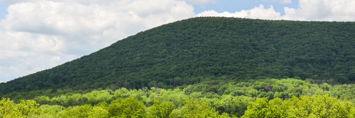 College Township, PA banner