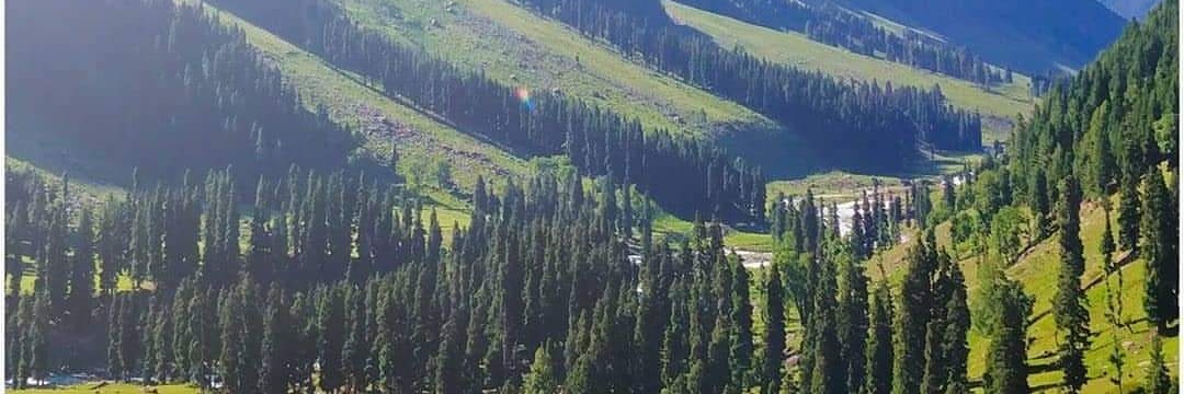 layaqet's profile banner image