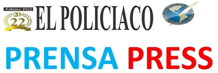 Gregorio-Albatros 20 banner