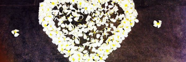 EmmaGregory1 Profile Banner