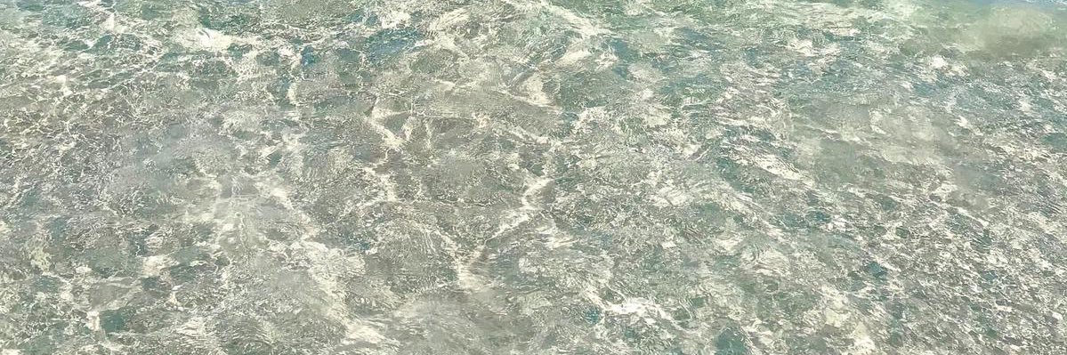 Chiara banner