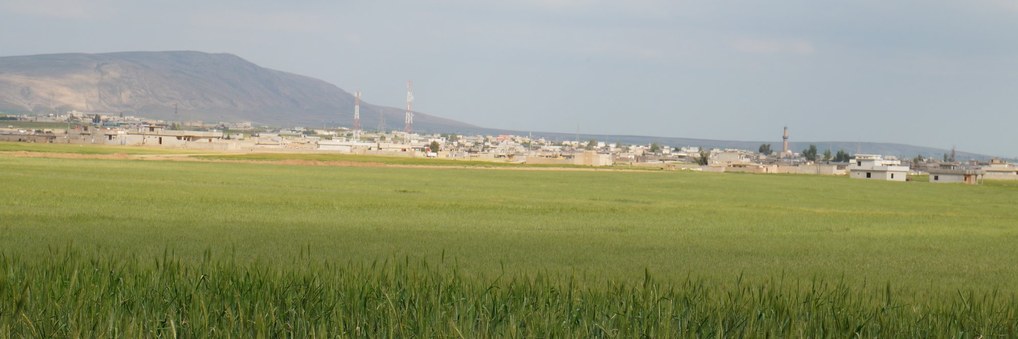 za3tarani's profile banner image