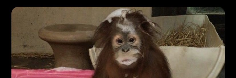 gráinne 💋 banner