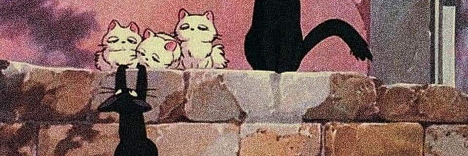 bbecitadeluz's profile banner image