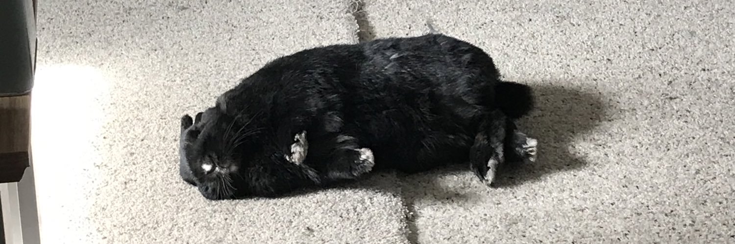 Sin Ching Chan banner