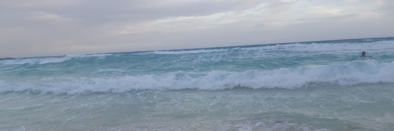 Pitha_Morales's profile banner image