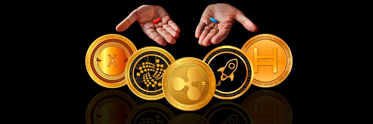 Hernan Coronel banner