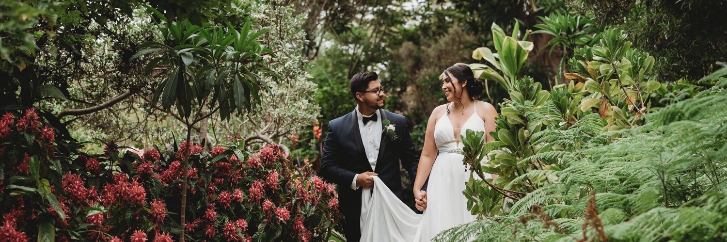 brittmorales's profile banner image