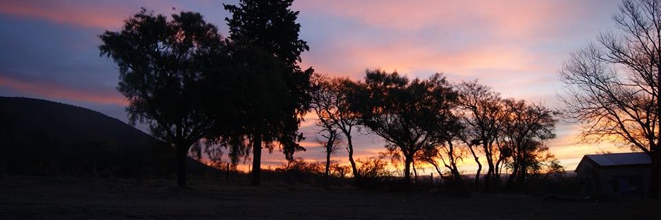 melubaaker's profile banner image