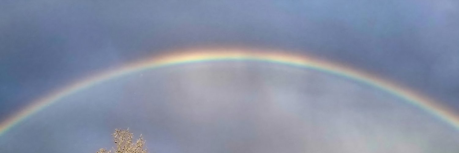 𝕍𝕚𝕣𝕥𝕦𝕒𝕝 𝔽𝕣𝕒𝕟𝕜𝕖𝕟𝕤𝕥𝕖𝕚𝕟 👽 banner